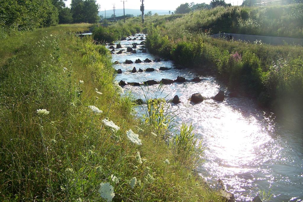 Penzion u Dyje Bulhary Exteriér fotografie